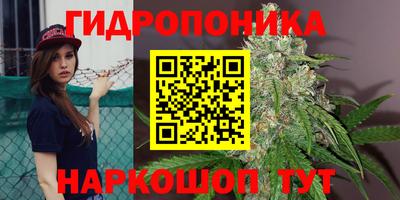 амф Сертолово