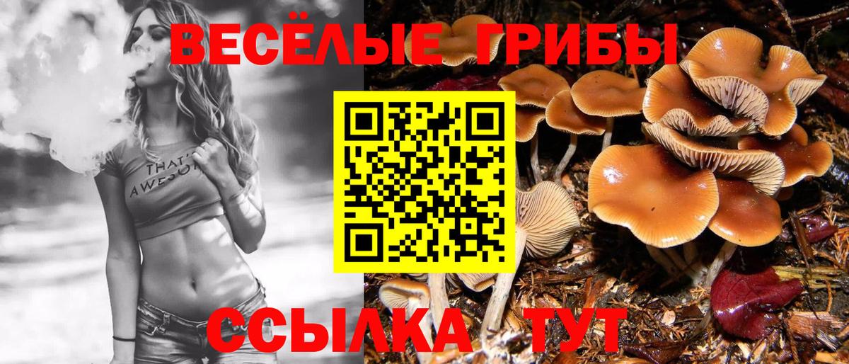Галлюциногенные грибы мухоморы Кызыл