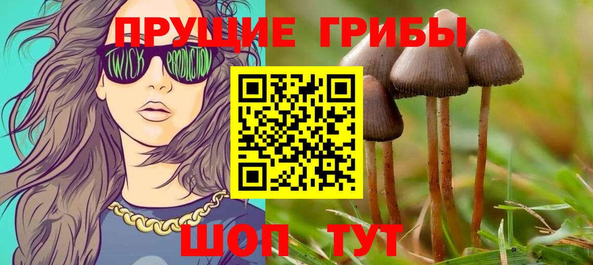 Псилоцибиновые грибы Psilocybine cubensis  Галлюциногенные грибы мицелий  Вход с VPN  Кызыл 